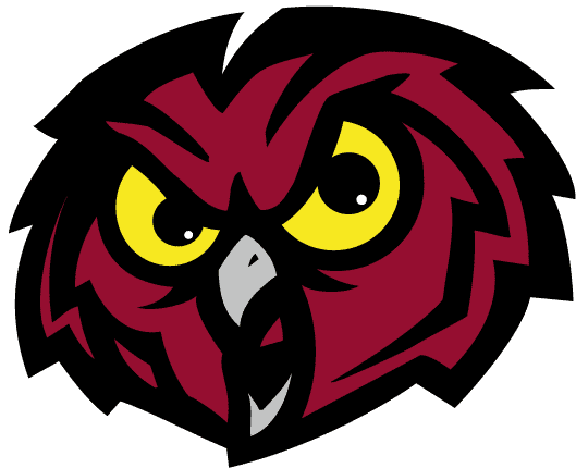 Temple Owls 1996-Pres Alternate Logo diy iron on heat transfer